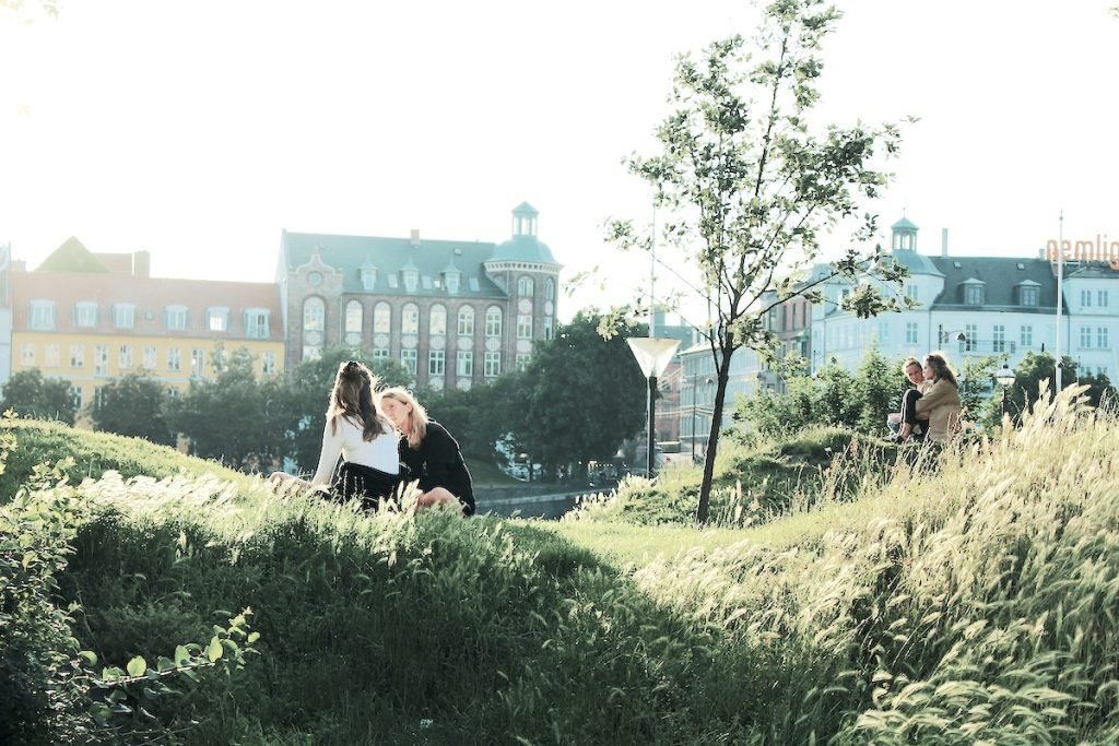 Rådgivning i trädgården